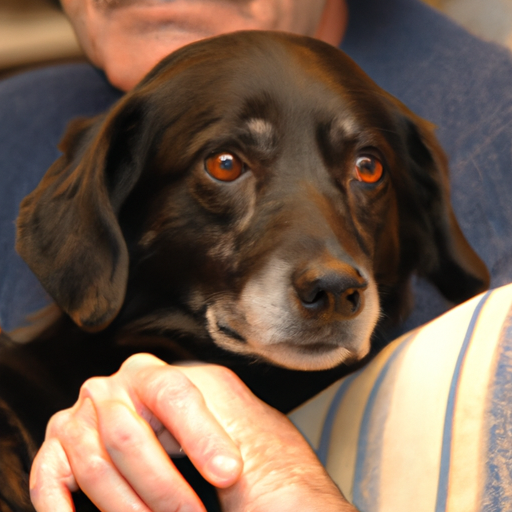 Is Support Pets Legitimate and Trustworthy?