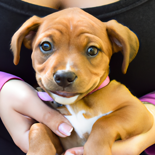 Overview-Is PuppySpot Legit? Uncovering the Truth about This Popular Pupp
